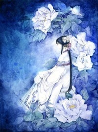 龙珠之最强神话